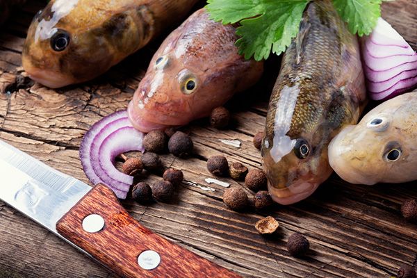 Gli ingredienti del cappon magro